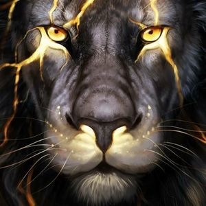 Meet your Posher, Jakob